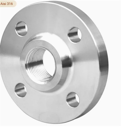 304 316 316L AISI 150 RF FM BSP NPT schroefflens met schroefdraad