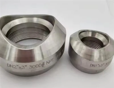 RVS 317L MSS SP-97 Sockolet/weldolet/threadolet Socket Lasfittingen